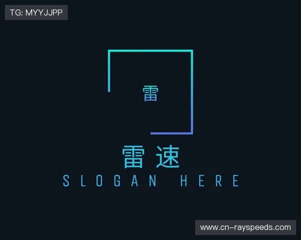 介绍雷速